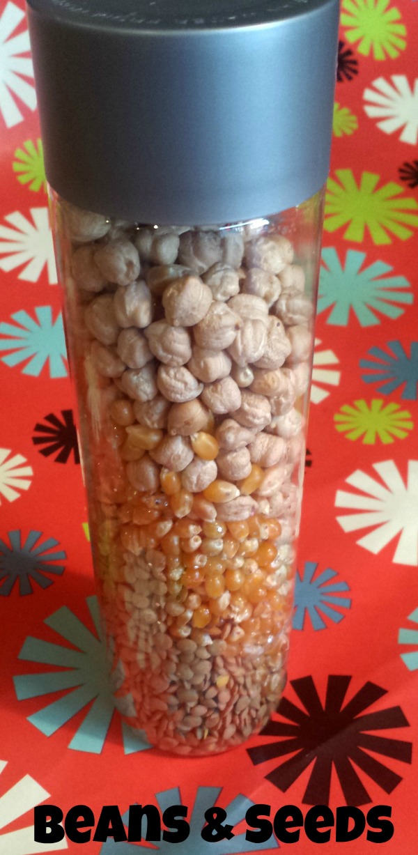 beans and seed sensory bottle