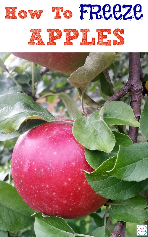 How to Freeze Apples