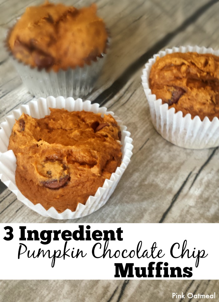 Pumpkin Chocolate Chip Muffins - 3 Ingredients - Pink Oatmeal