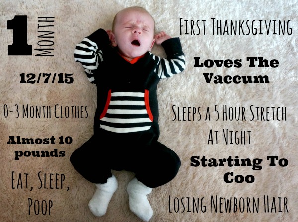Baby Monthly Pictures. A easy way to remember monthly milestones for your baby boy or baby girl! I made mine in minutes! - Pink Oatmeal