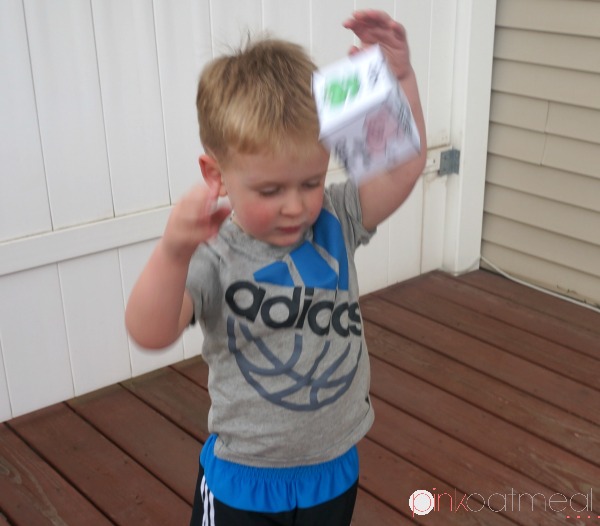 Rolling Activity Dice - Pink Oatmeal