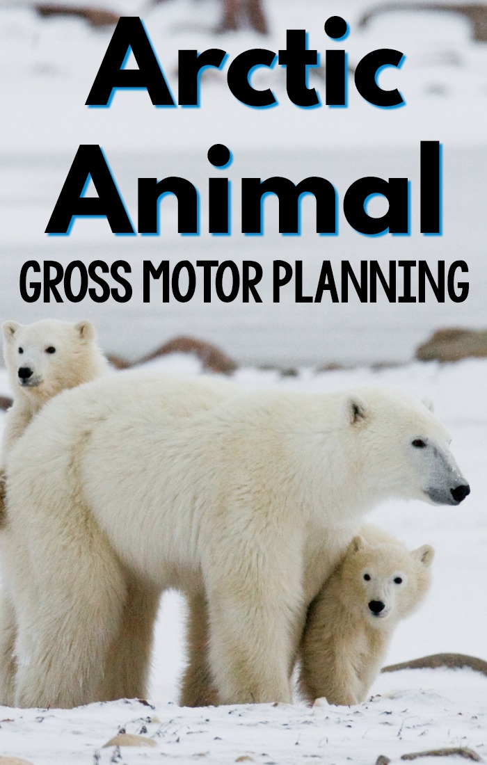 Arctic Animal activities that promote gross motor! Fun arctic animal gross motor games and activities perfect for an arctic animal unit, week, or to use in the winter! #preschool #grossmotor