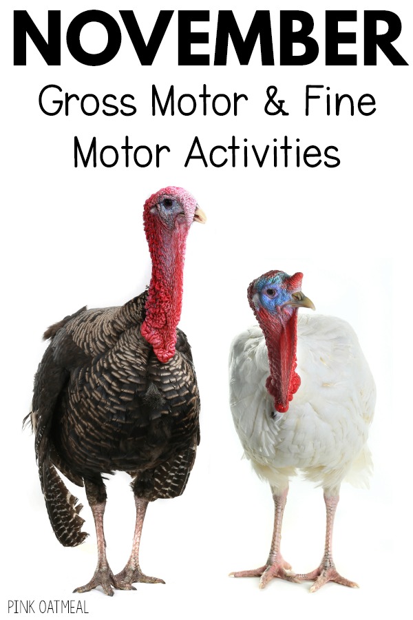 November Gross Motor and Fine Motor Activities