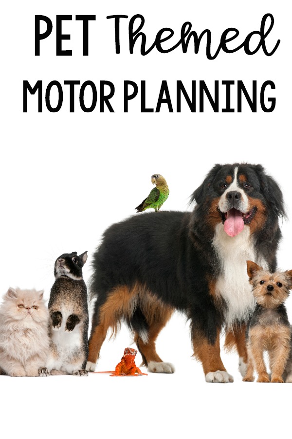 https://www.pinkoatmeal.com/wp-content/uploads/Pet-Themed-Motor-Planning.jpg