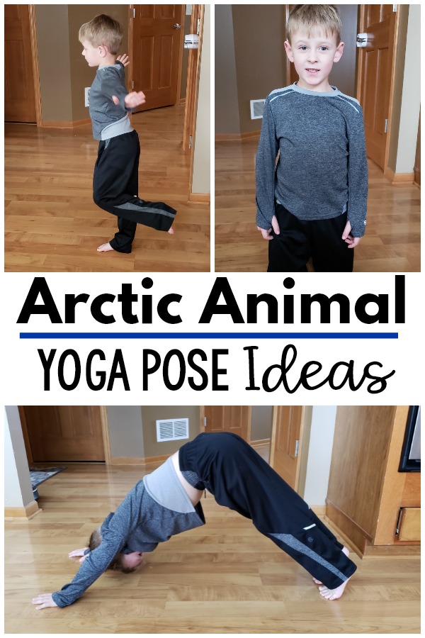 Arctic animal movement activities. Fun yoga and movement ideas to go with an arctic theme. Great for your polar unit, arctic unit or to use as a brain break. A fun gross motor and motor room activity as well. Great to use all winter long!